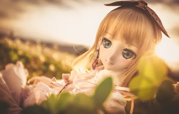 Macro, toy, doll