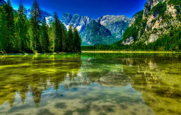 Forest, trees, mountains, lake, Italy, Italy, The Dolomites, South Tyrol