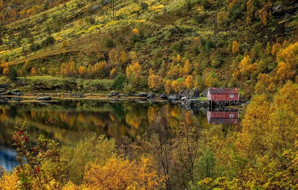 Picture the sky, landscape, nature, Norway, The Lofoten Islands