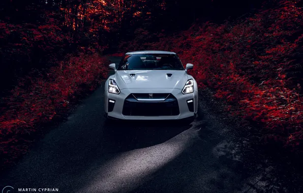 Nissan, GT-R, 2019, Martin Cyprian Photography