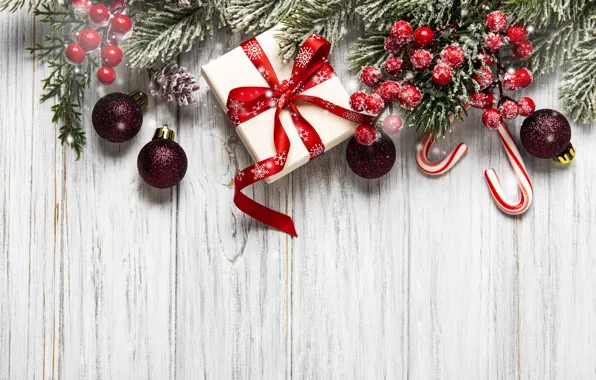 Frost, balls, snow, branches, red, berries, tree, box