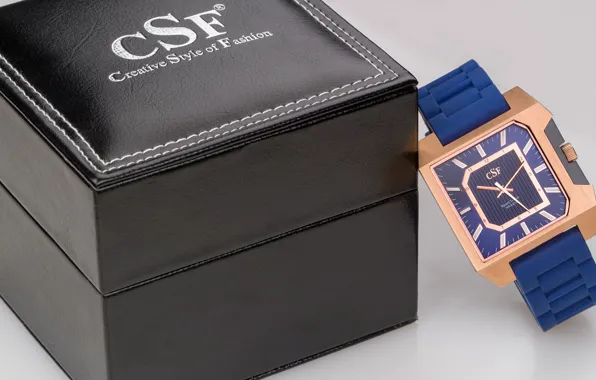 Picture box, Watch, CSF