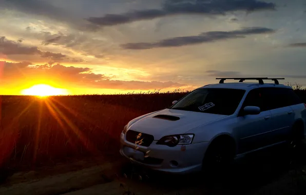 Wheat, sunset, Subaru, wheat field, Subaru turbo