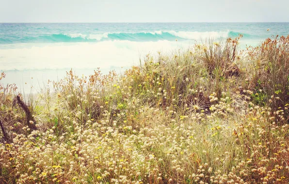 Wave, grass, flowers
