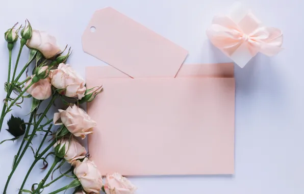 Flowers, gift, roses, love, pink, buds, fresh, pink