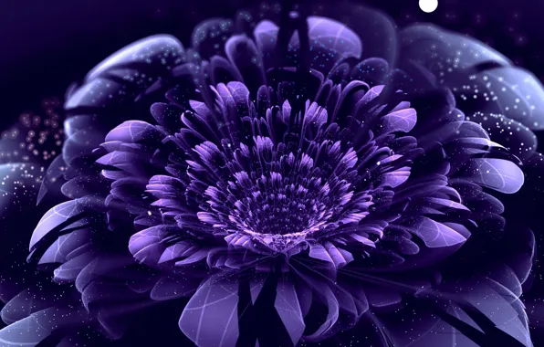 Flower, purple, circles, point, petals
