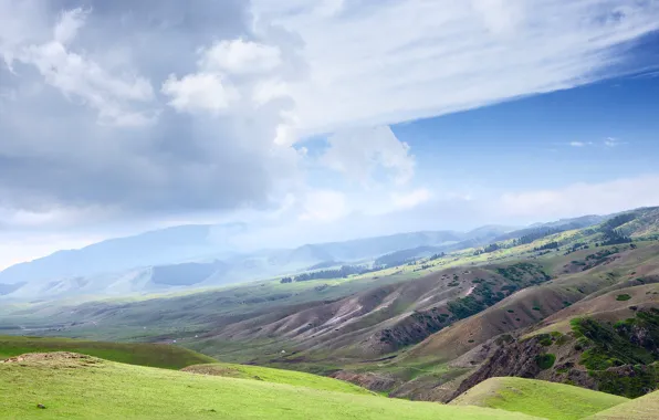 Greens, the sky, clouds, mountains, fog, blue, hills, blue