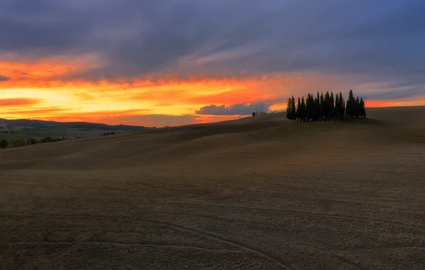 Field, the sky, clouds, trees, sunset, hills, dal, space