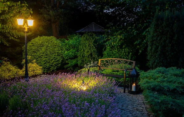 Picture bench, the evening, lantern, lavender