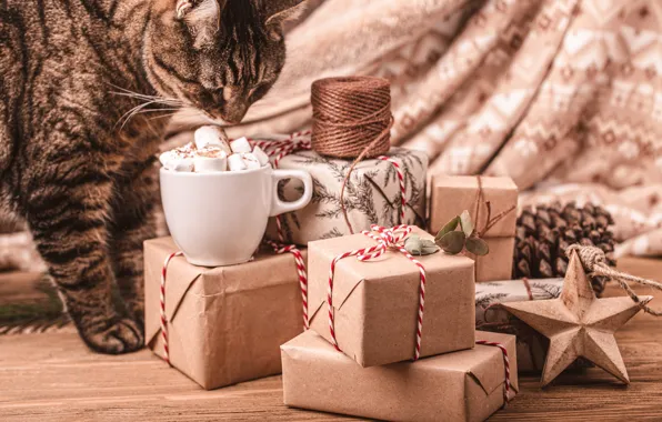Cat, cat, look, pose, Christmas, Cup, gifts, New year