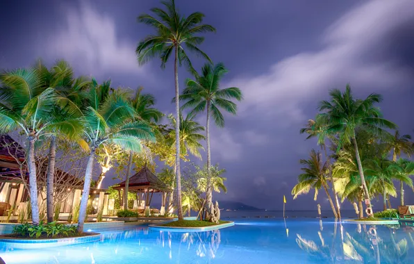 Picture sea, landscape, night, nature, palm trees, pool, backlight, Asia