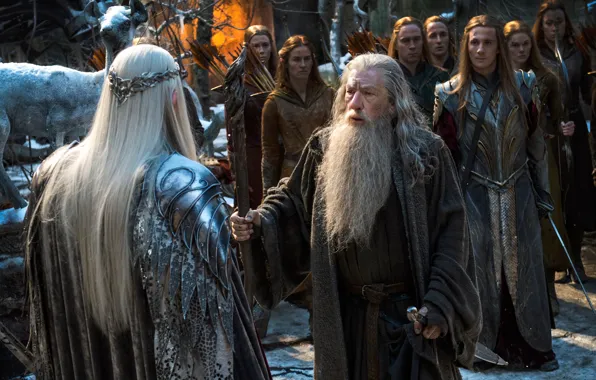 Gandalf, Ian McKellen, The Hobbit:The Battle of the Five Armies, The hobbit:the Battle of the …