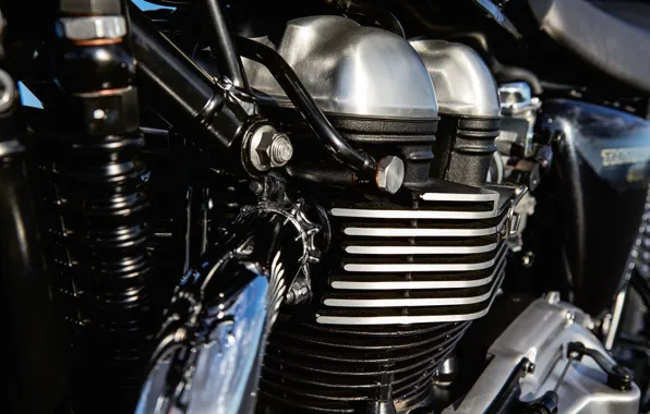 Engine, motorcycle, chrome, glands, Triumph Thruxton, pipes