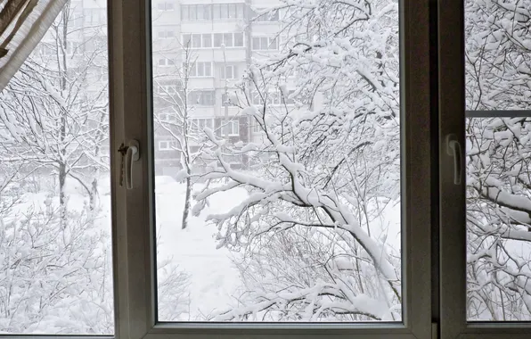 Winter, landscape, the view from the window, January 2025