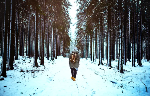 Picture winter, road, forest, snow, trees, male, guy, backpack