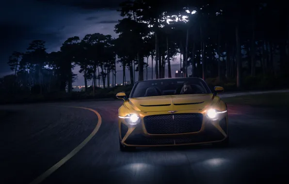 Lights, Bentley, twilight, Mulliner, 2020, Bacalar