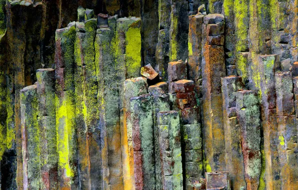 Picture stones, Oregon, USA, Umpqua National Forest, basalt