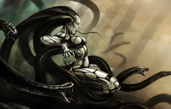 Snakes, languages, Medusa