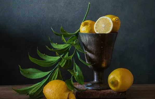 Leaves, glass, branch, bowl, still life, lemons