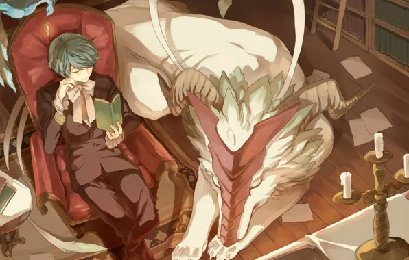 Dragon, books, chair, costume, horns, peacock, library, guy