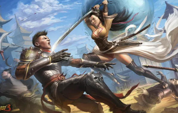 Picture girl, weapons, the game, armor, art, guy, Shadow fight 3