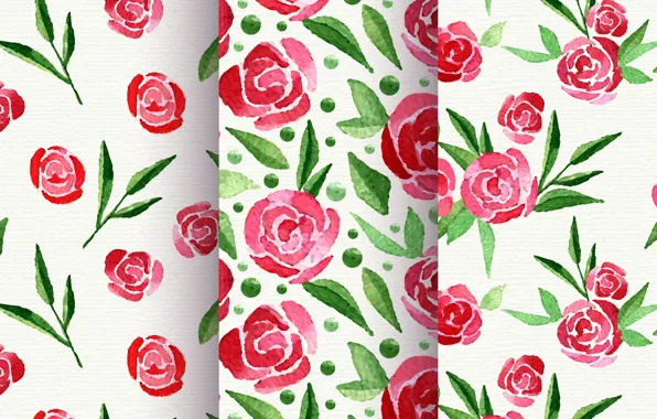 White, flowers, background, texture, buds, patterns, flowers, roses