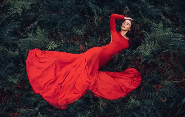 Leaves, girl, nature, pose, thickets, glade, hand, brunette