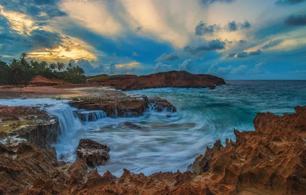 Sea, the sky, clouds, blue, stones, palm trees, rocks, shore