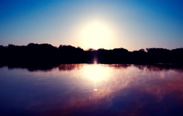 The sun, fog, lake, surface, dawn, shore, silhouette