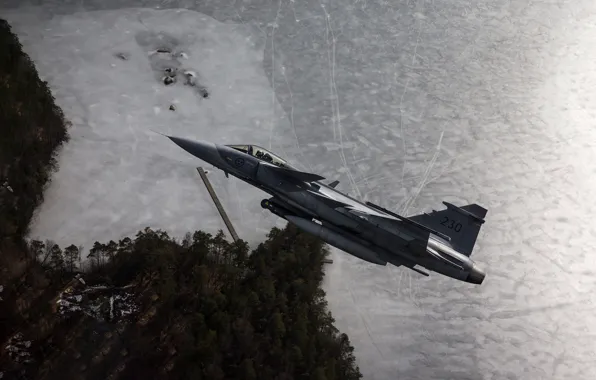 Gripen, Can JAS, 39C