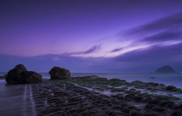 Picture rock, stones, the ocean, dawn