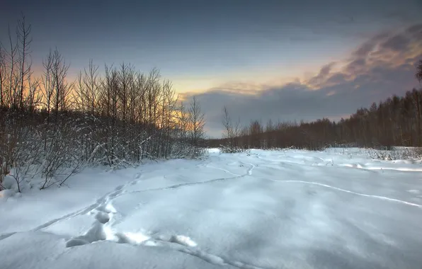 Picture winter, field, snow, landscape, sunset