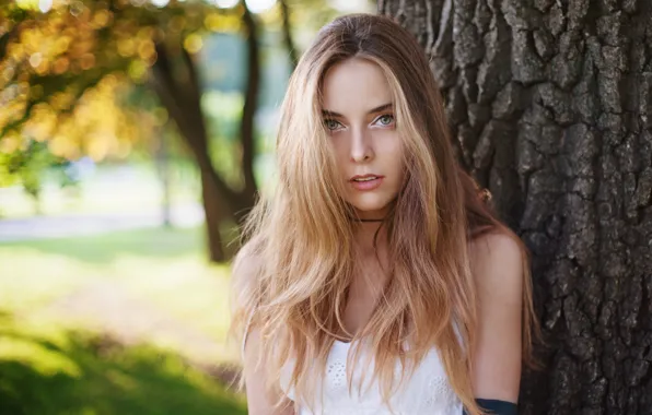 Look, sponge, the beauty, teeth, Amina Cutinova