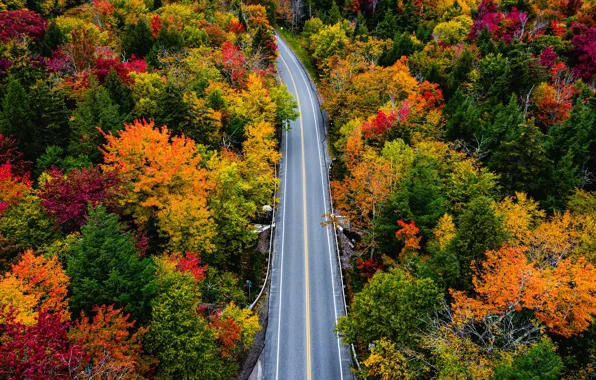 Road, autumn, forest, trees, Vermont, Vermont, Smugglers Notch