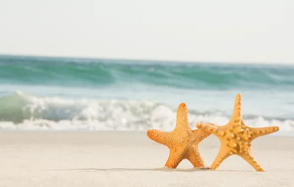 Picture sand, sea, beach, star, pair, summer, love, beach