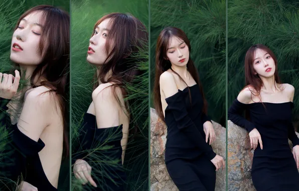 Rock, Beautiful, Asian, Model, Tree, Woman, Cute, Pretty