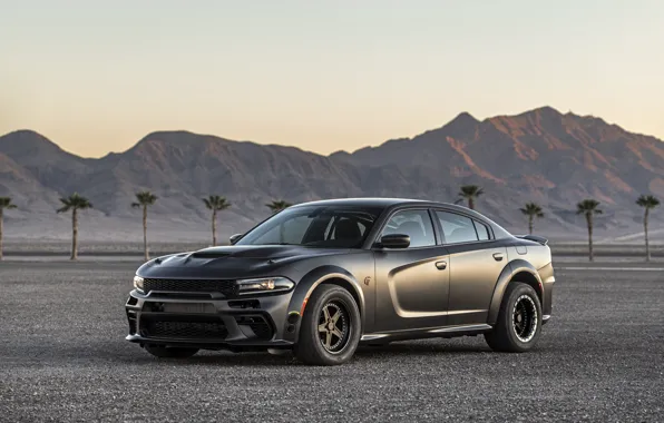 The evening, Dodge, Charger, AWD, 2019, SpeedKore, SEMA 2019, Twin Turbo Carbon