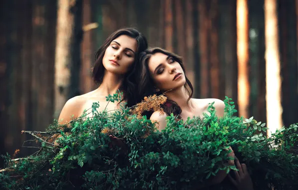 Picture forest, two girls, friend