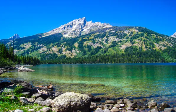 Picture mountains, nature, lake, Wyoming, Grand Teton National Park, Emerald Lake