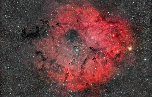 Space, stars, nebula, Elephant's Trunk, IC 1396