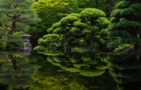 Picture Park, Japan, Patrick Vierthaler, trees, Kyoto, pond