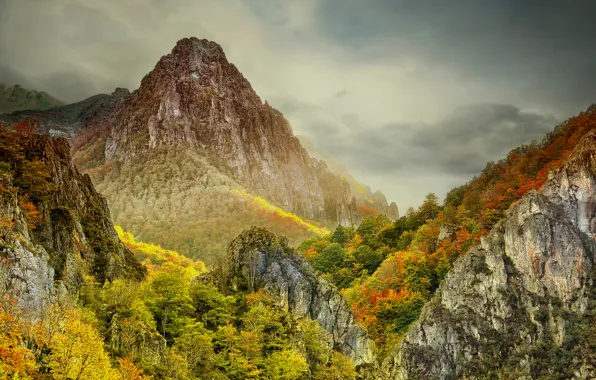 Picture autumn, the sky, clouds, trees, mountains, fog