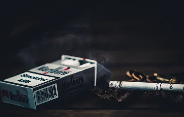 Macro, cigarette, Smoking kills