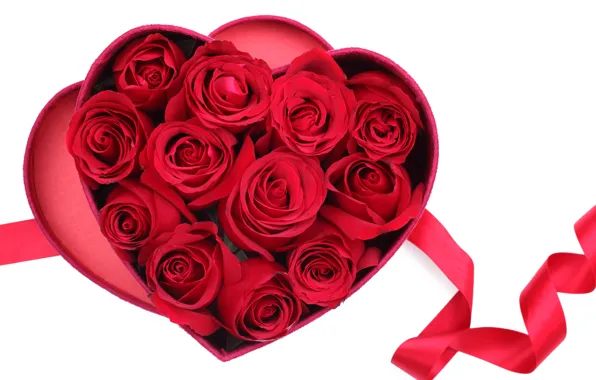 Red, box, gift, heart, roses, tape, love, valentine's day