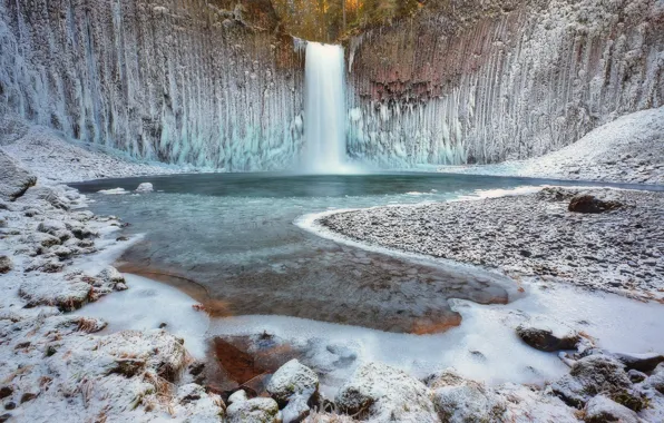 Picture ice, winter, forest, nature, waterfall, USA, Oregon, Abiqua Falls