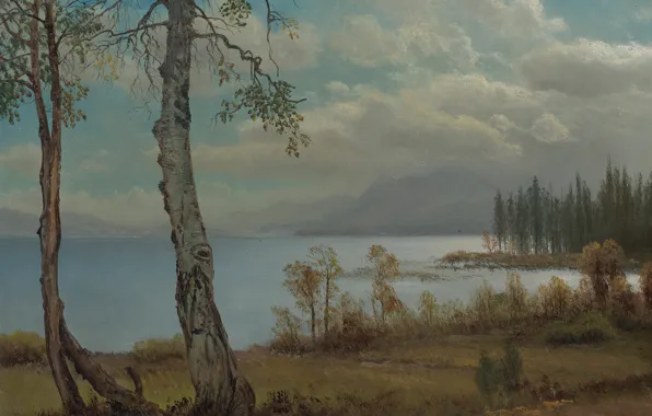 Picture landscape, picture, Albert Bierstadt, Lake Tahoe