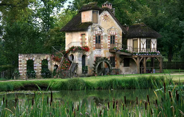 Picture greens, forest, summer, pond, France, home, village, Versailles