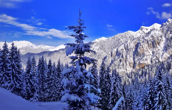 Picture winter, landscape, mountains, nature