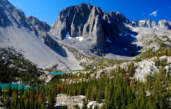 Forest, the sky, trees, mountains, lake