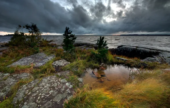 Landscape, night, lake